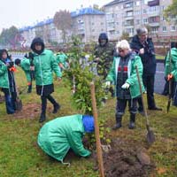 Волонтеры Росатома посадили цветы и деревья в Обнинске.